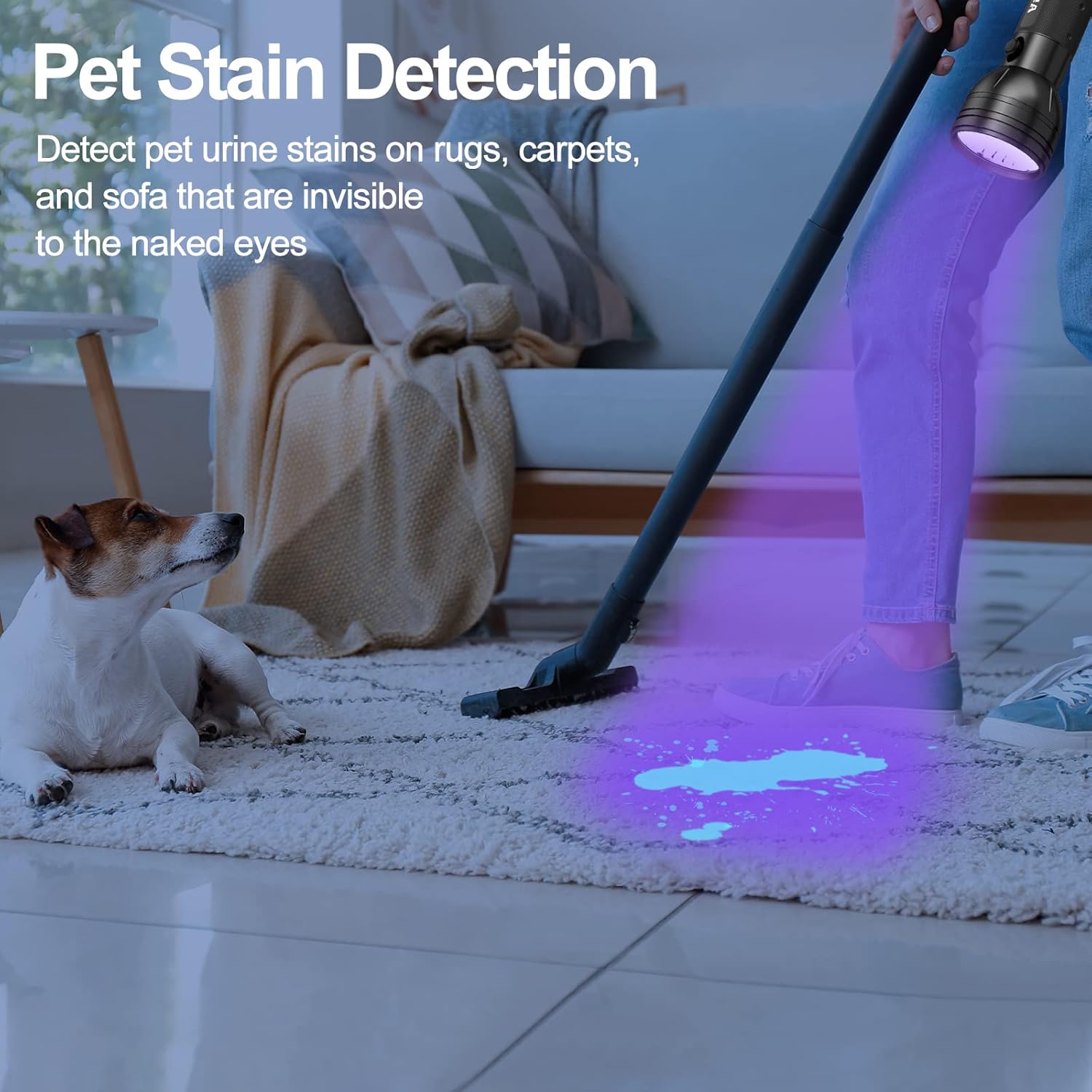Pet Urine Detector