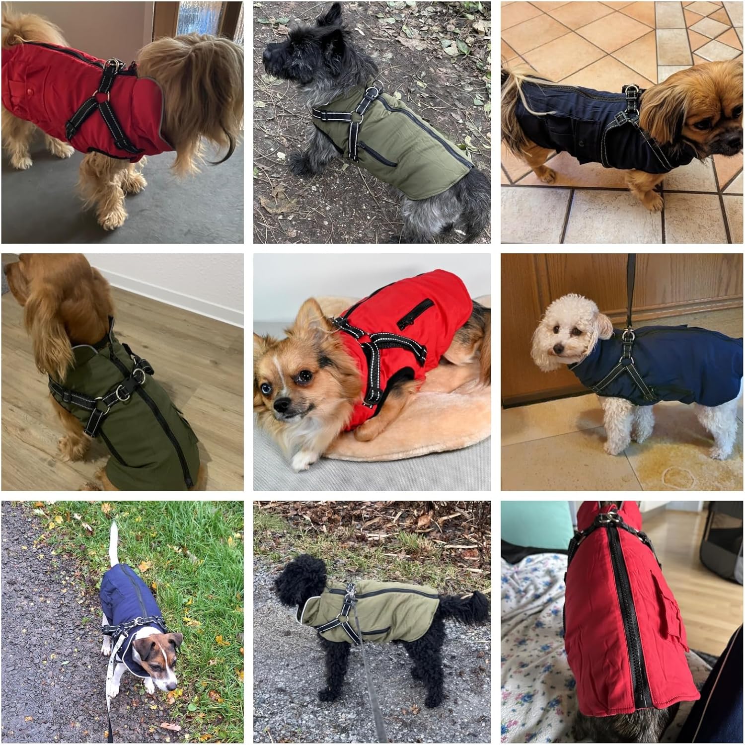 Dog Winter Jacket