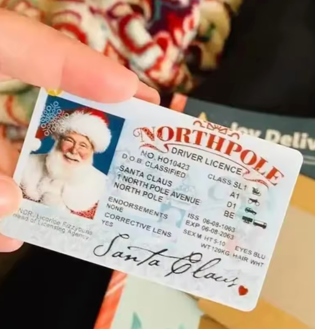 Driving License Card Toy