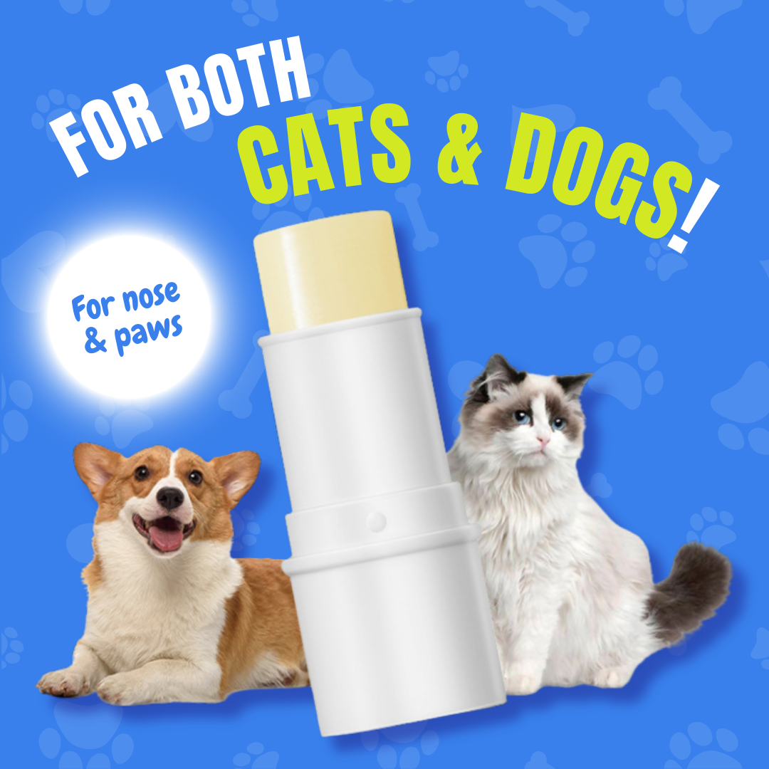 Paw Ointment Stick